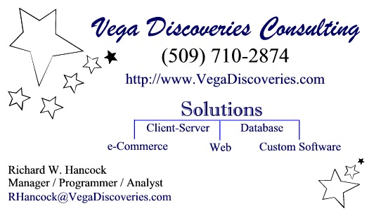 Vega Discoveries Consulting - Business Card